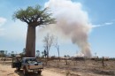 Forest removal in Madagascar. Photo credit: Alasdair Harris