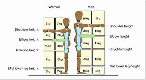 weight lifting diagrams policy central macquarie weight lifting diagrams policy central macquarie