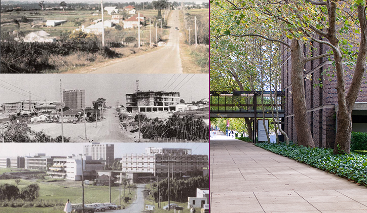  [Top] 1965: South-east along Waterloo Road. [Centre] 1966: the Library underway. [Bottom]1974: the campus taking shape. [Right] Wally’s Walk alongside E7A.