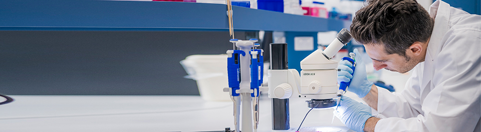 A researcher in the lab