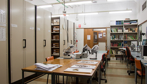 The Downing Herbarium