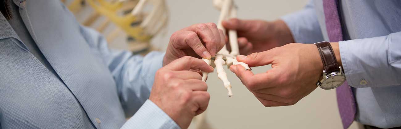 two sets of hands holding a skeleton hand