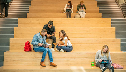 Bachelor of Social Sciences