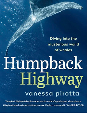Cover Page of Humpback Highway book. Text with the title and Author with a image of a humpback whale swimming from behind. 