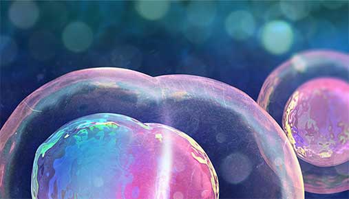 ARC CoE in Synthetic Biology