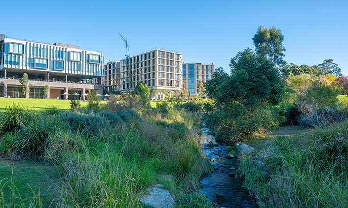 Mars Creek on Macquarie University’s Wallumattagal Campus.