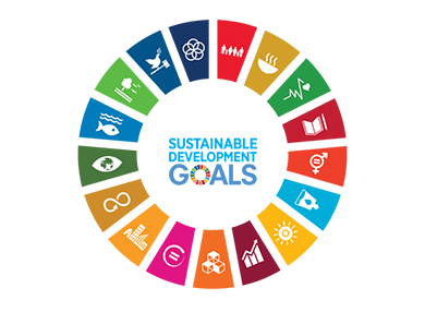 The words 'Sustainable Development Goals' in blue, surrounded by a ring of 17 colourful symbols, each representing one the 17 goals.