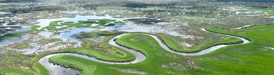 A flooded river snakes across a lush and wet landscape.