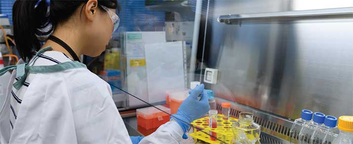 A research student working in a laboratory
