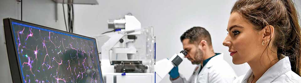 Two researchers working in a lab