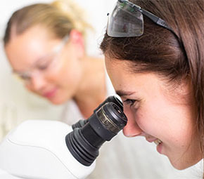 Higher degree research with us