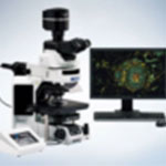 Olympus BX63 Fluorescence Microscope