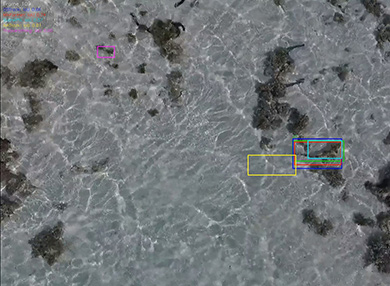 A greyscale aerial image of a marine environment, with certain features outlined with boxes in various bright colours.