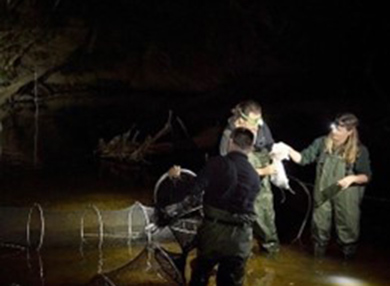 Dr Meagher and colleagues undertaking platypus fieldwork.