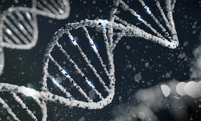 Microscopic view of double helix DNA