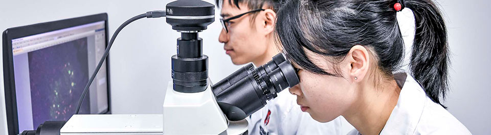 Two researchers in a lab, one looking through a microscope and the other looking at data on a screen.