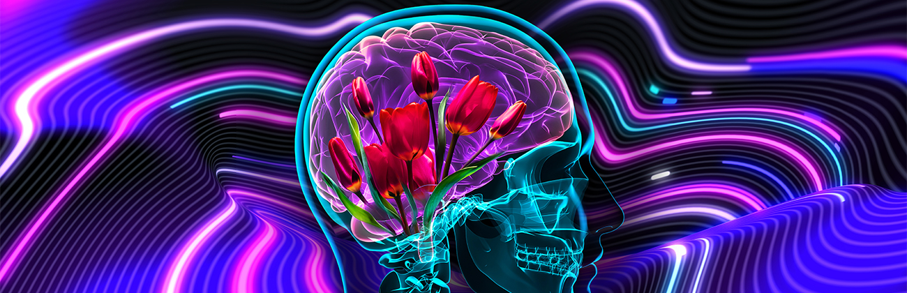 Colourful graphic of a human skull with a brain containing red tulips