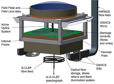 MANIFEST is a fibre positioner designed to feed all the natural seeing spectrographs, of the Giant Magellan Telescope (GMT)