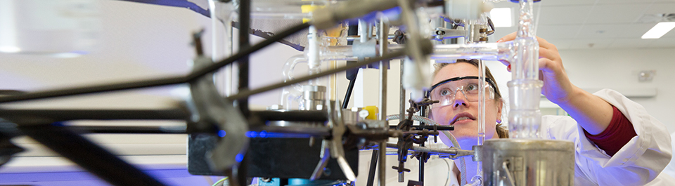 A student working in a lab