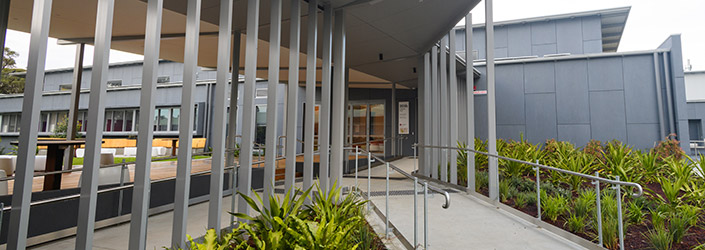 Front entrance to the building flanked by ferns and greenery.