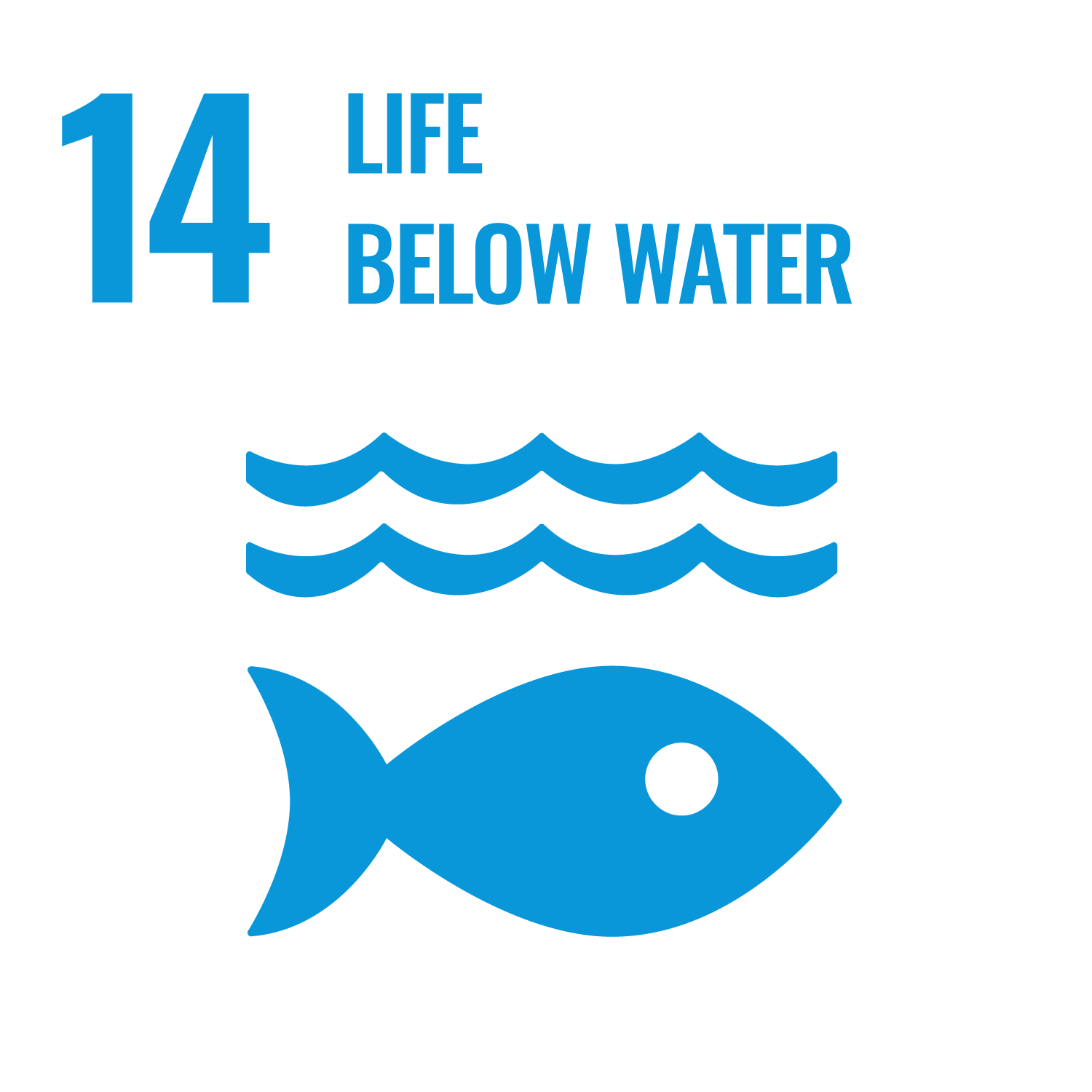 SDG14 Life Below Water