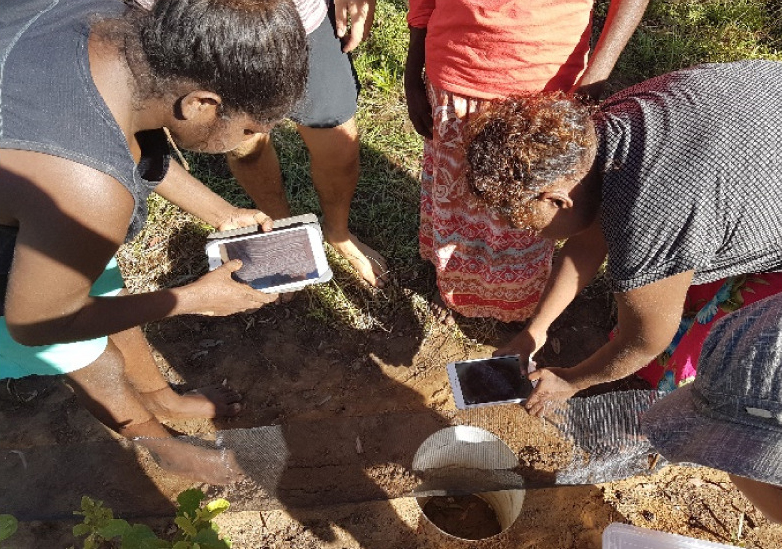 recording animals in the pit fall trap of a biodiversity survey with Rangers at Bulubuluwen