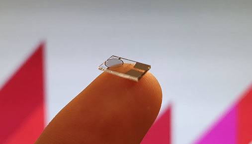 A computer chip on the tip of someone's finger