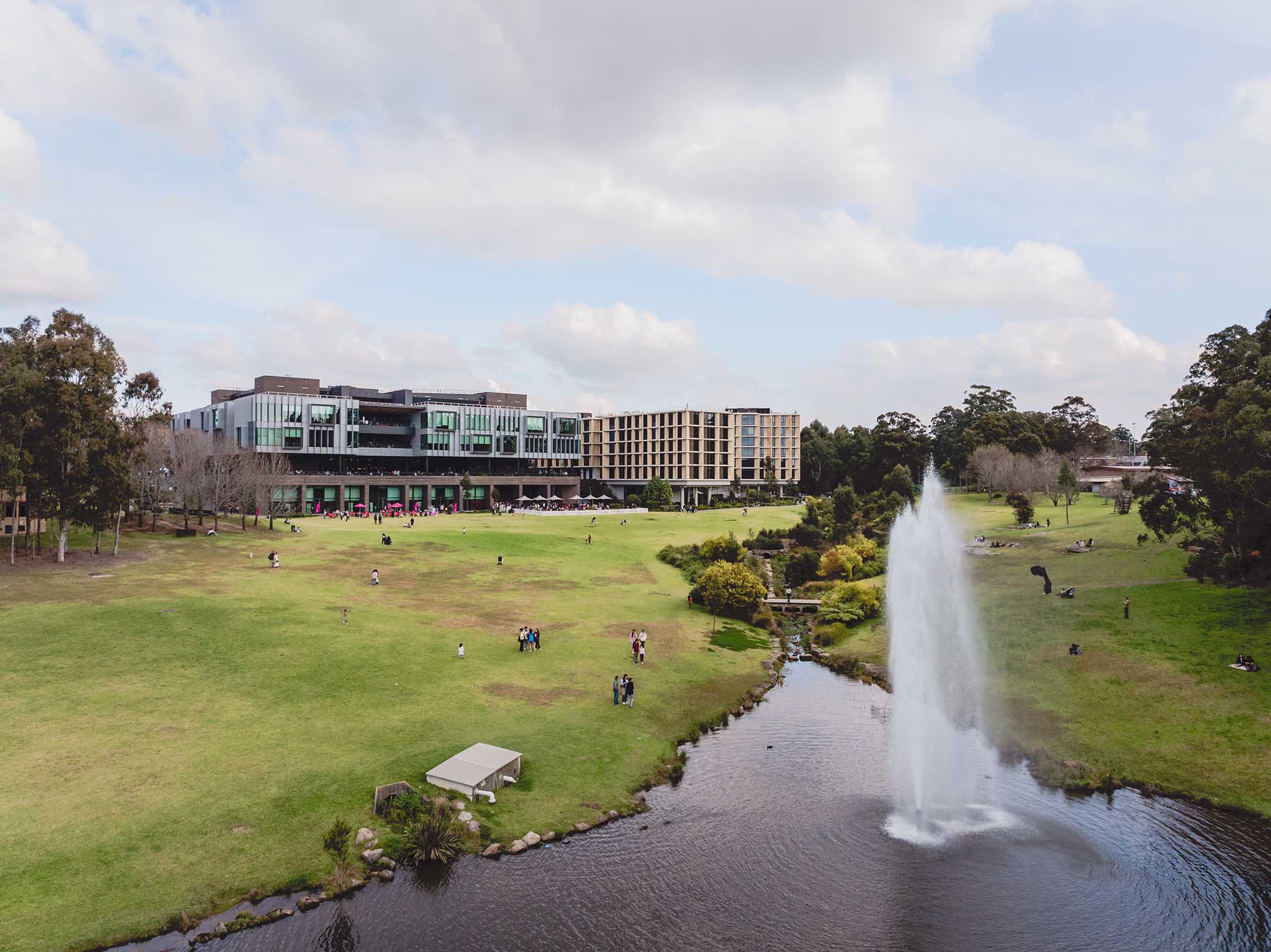 Macquarie University lawn