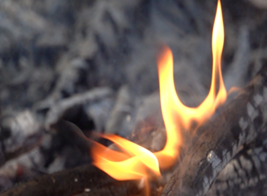 A close-up of a flame burning wood.