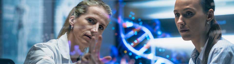 Two researchers in a lab looking at a digital screen with a helix on it