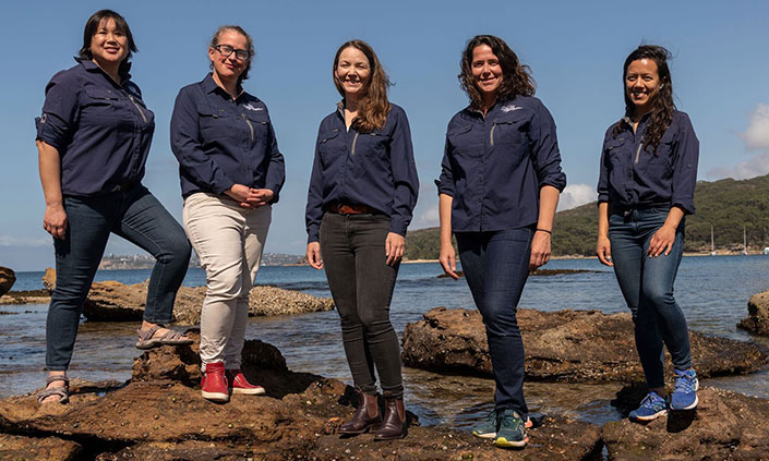 Living seawalls team