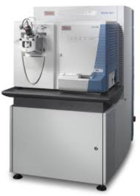 Quantitative and comparative protein analysis by mass spectrometry using TMT