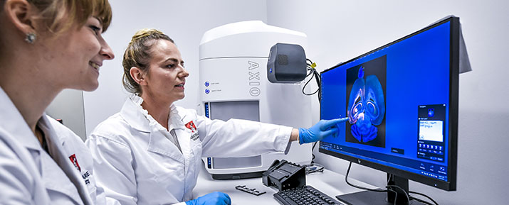 Two researchers looking at a scan of a brain. Image by Morris McLennan