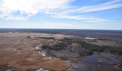 Helicopter  view towards northern Macquarie Marshes