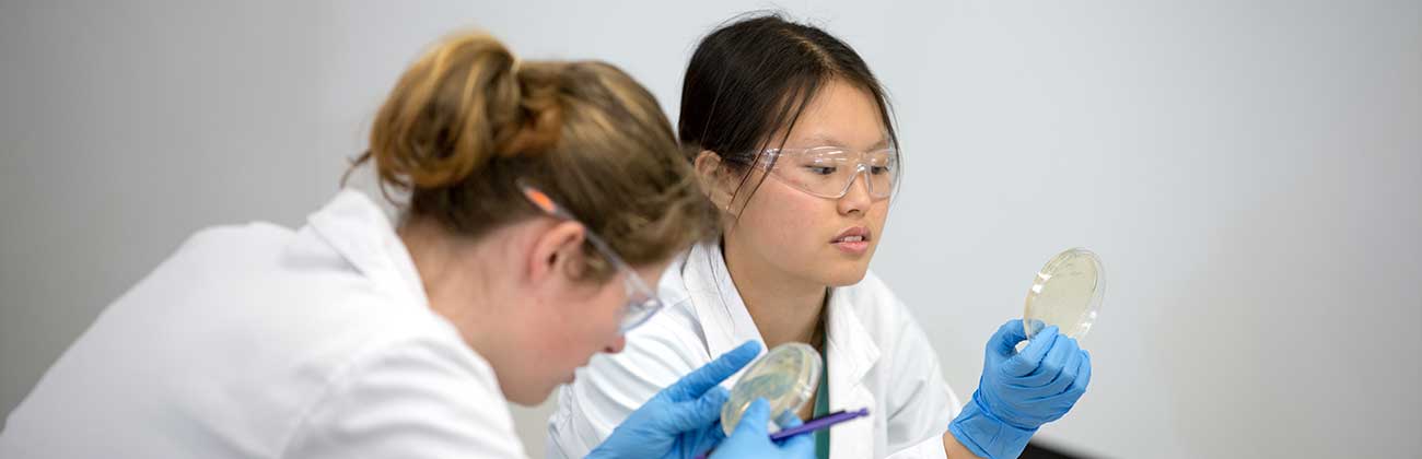 Two researchers in the lab