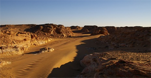 Desert landscape