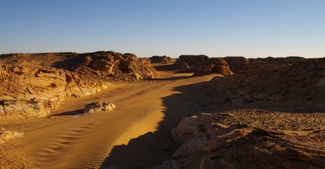 Desert landscape