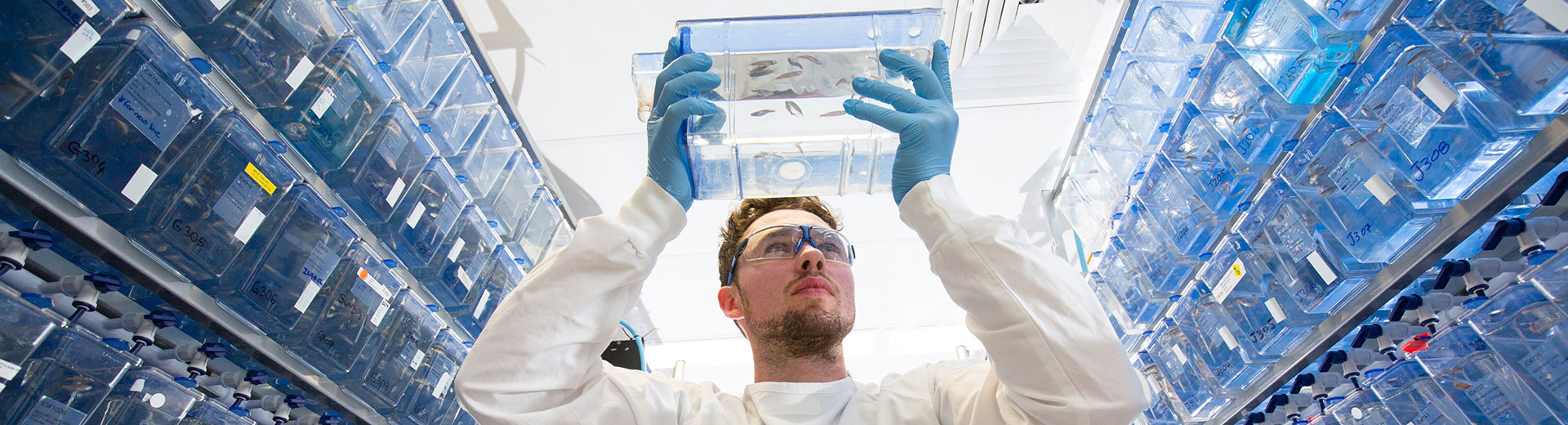 A researcher in a lab holding up a container of fish
