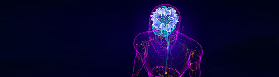 Motor Neuron Disease