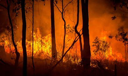 Climate change and the impact on human health