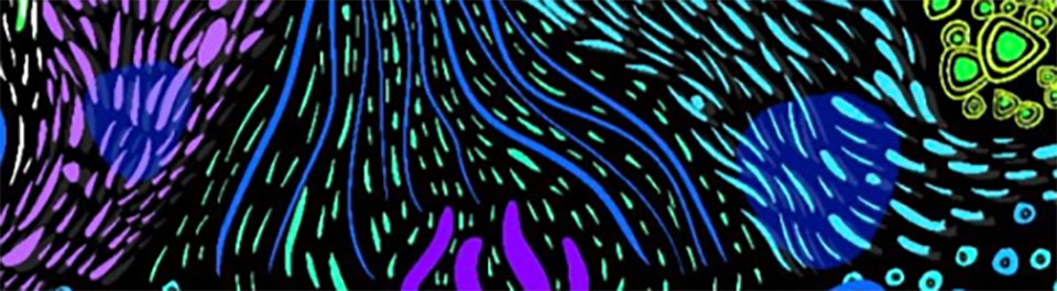 Colourful Indigenous art