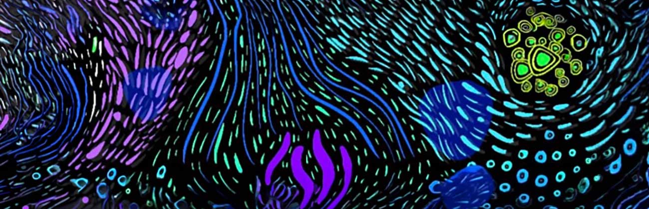 Colourful Indigenous art