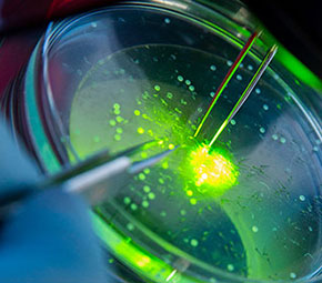 Engage with our researchers