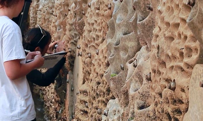 Students observing a natural wall
