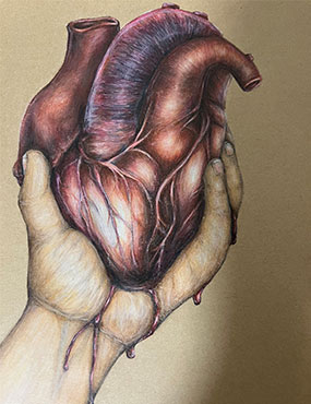 Nazli drawing human organ