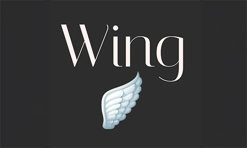 Wing logo