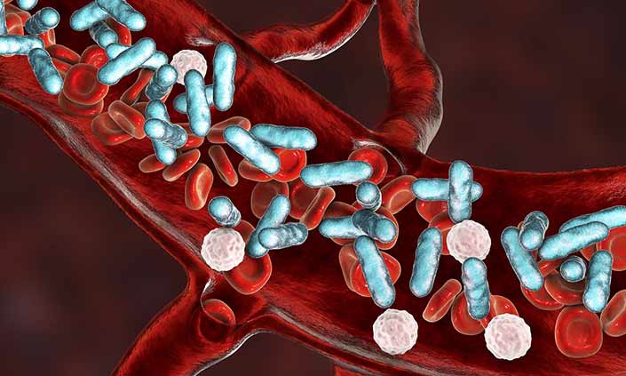 A digital graphic of blood cells.