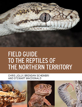 Book cover for Field guide to the reptile of the Northern Territory, snakes and other reptiles in outback nature featured on cover