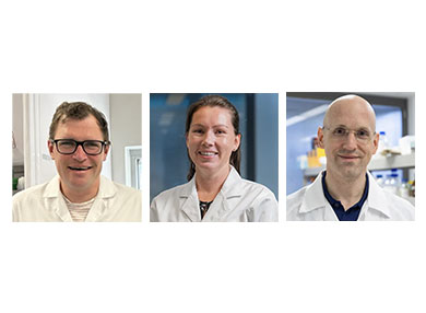 Professor Lars Ittner, Dr Janet van Eersel and Dr Ole Tietz