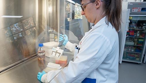 Higher degree research